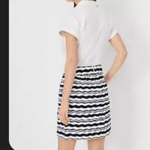 NWT Ann Taylor skirt